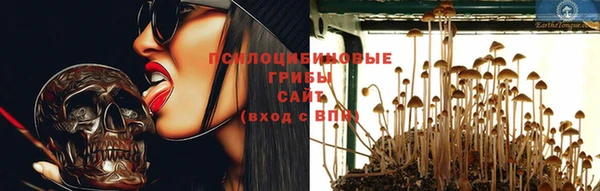 дмт Армянск