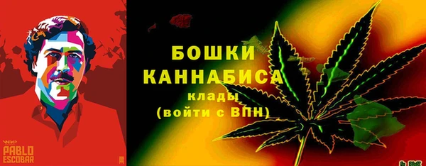 PSILOCYBIN Аркадак