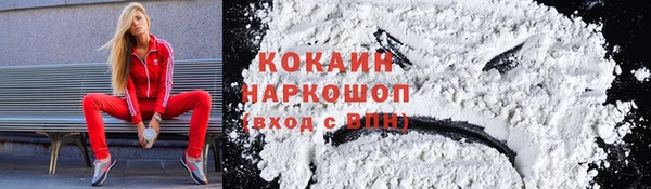 PSILOCYBIN Аркадак