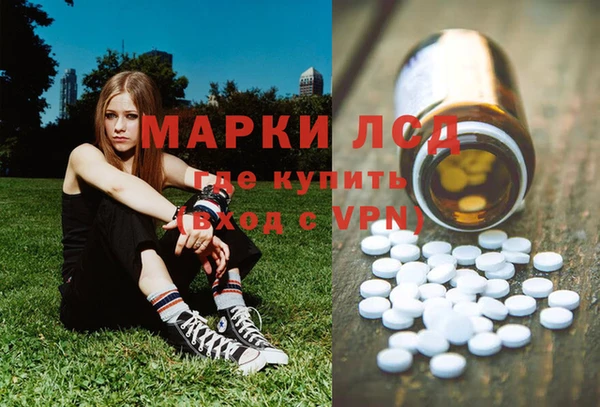 PSILOCYBIN Аркадак