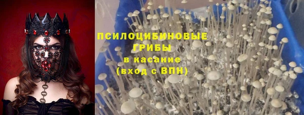 PSILOCYBIN Аркадак