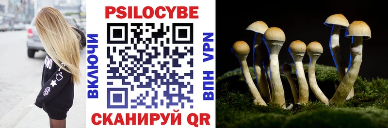 Купить где  Котовск  Псилоцибиновые грибы Cubensis 